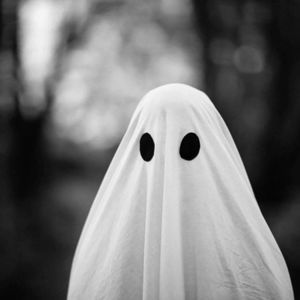 Meet your Posher, Geneviève